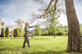  , USA Tree Services Pros